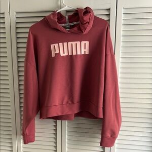 Puma Pink Cropped Boxy Hoodie Long Sleeve XL